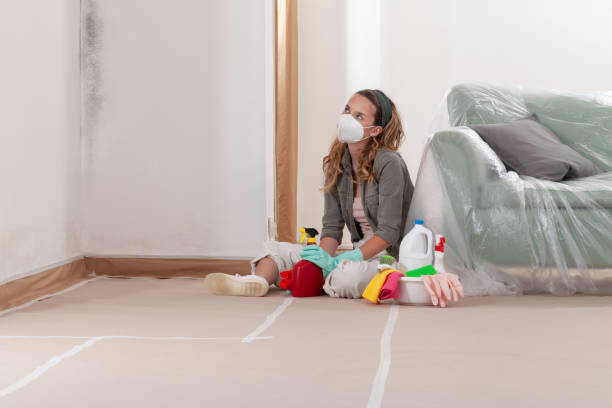 Reliable Bathroom Mold Removal contractor in Newmanstown, PA by WQB Mold Removal